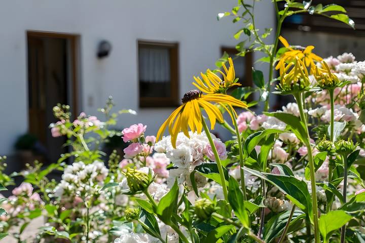 Ferienwohnung für 3 Personen, mit Balkon in Bad Peterstal-Griesbach - 3