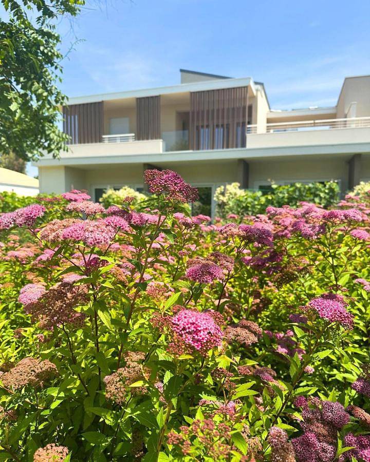 Suite with Pool View in Giulianova, Giulianova (Commune)