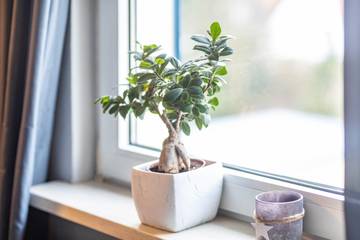 Ferienwohnung für 4 Personen in Lauterbach, Hessen, Bild 2