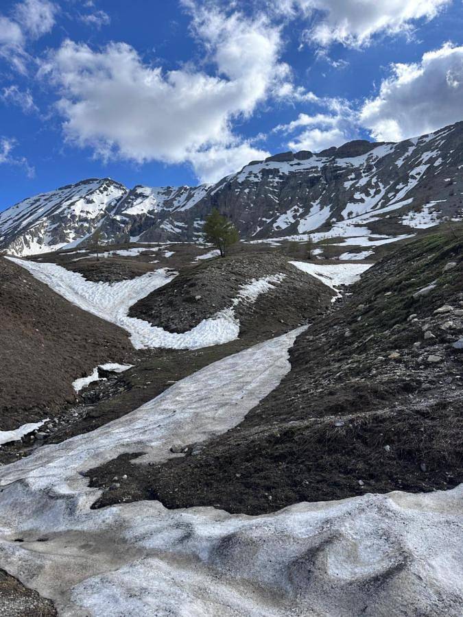 Gîte pour 5 personnes, avec jardin et vue à Allos - 4