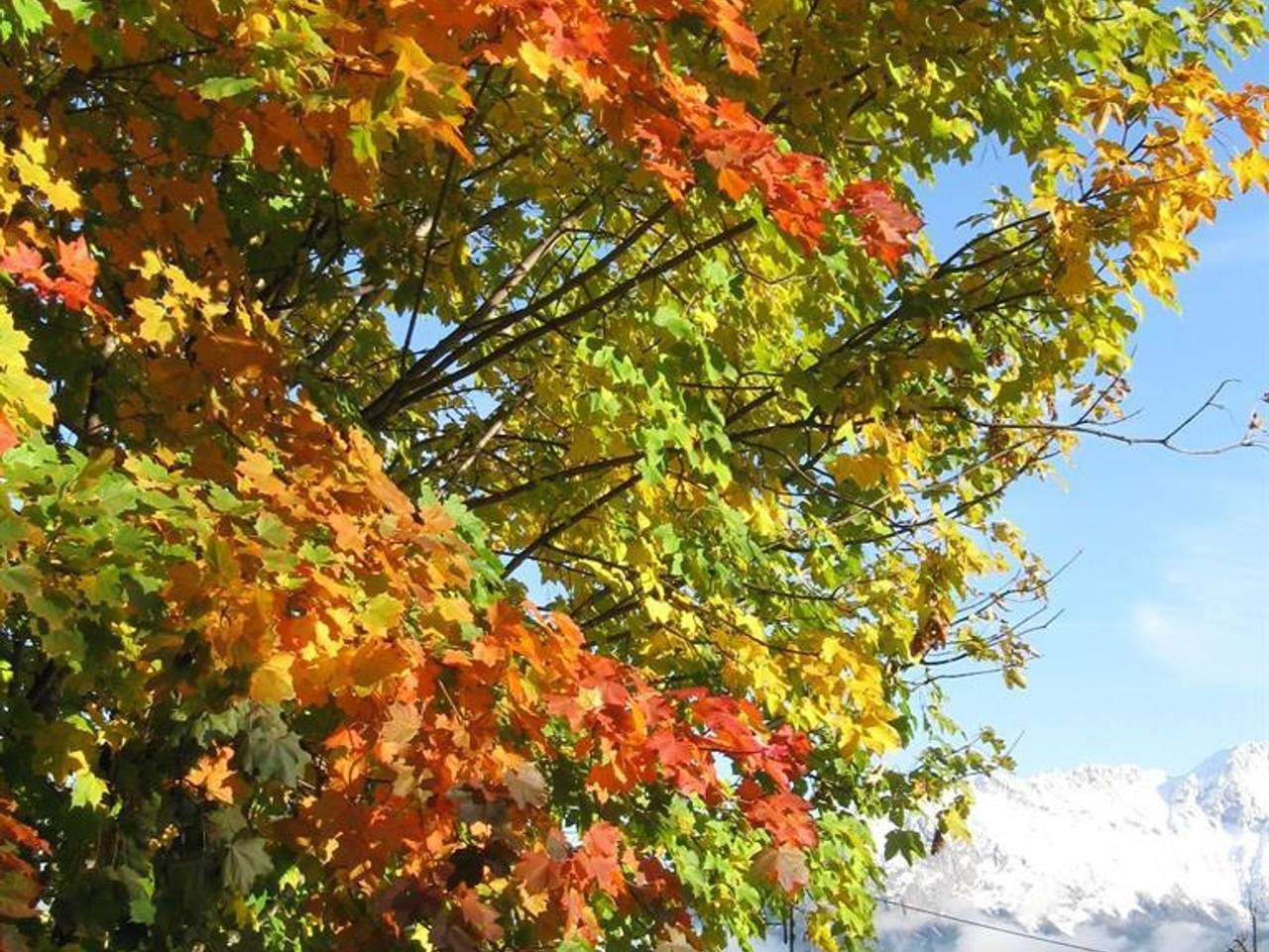 Pension Stieber - Doppelzimmer 3 in Kleinsölk, Tauern