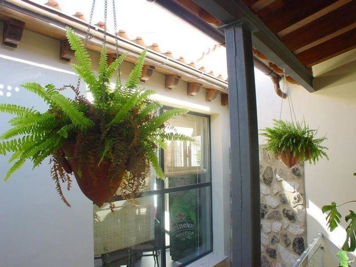 Maison d’hôte pour 2 personnes, avec vue et jardin dans Estrémadure - 3