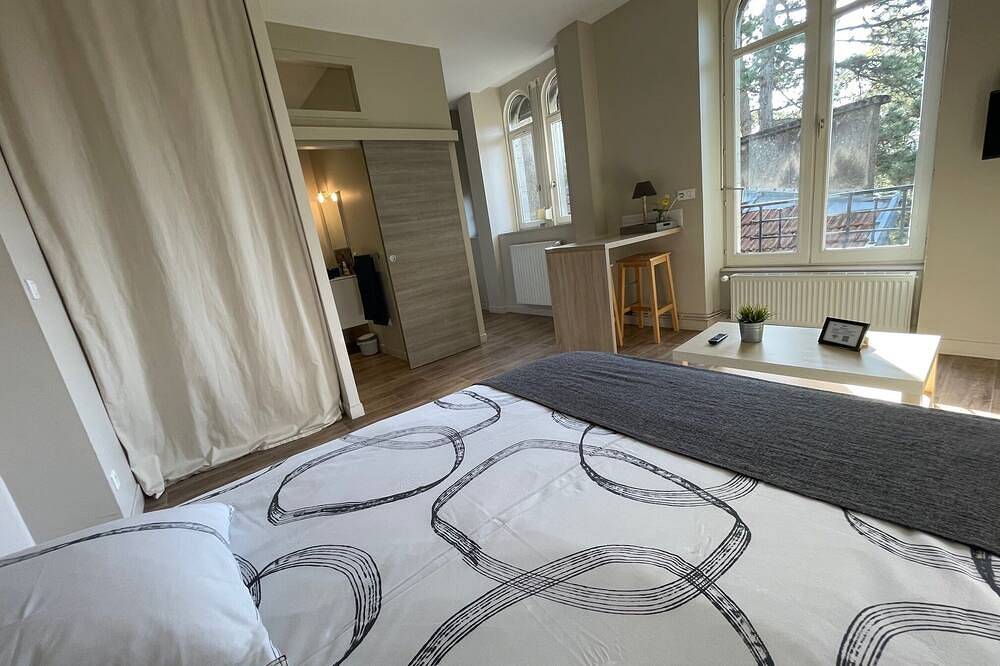 Ganze Wohnung, Studio Victor Hugo-Apartment-Komfort-Ensuite mit Dusche in Besançon, Doubs