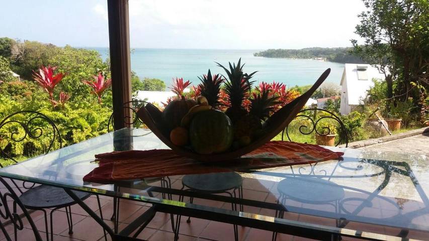 Chambre d’hôte pour 2 personnes, avec jardin ainsi que vue et terrasse à La Trinité - 4