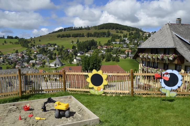 Ganze Ferienwohnung, Sunmattehof - Doppelzimmer Ebnehof mit Balkon in Todtnauberg (Todtnau), Todtnau