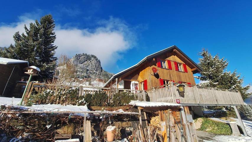 Location de vacances pour 5 personnes, avec jardin et terrasse ainsi que vue et piscine, animaux acceptés à Dornbirn - 3