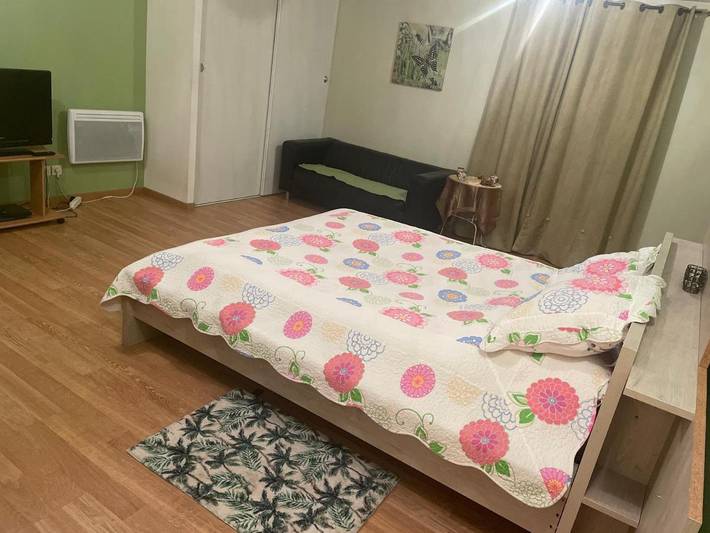 Gîte pour 2 personnes, avec jardin ainsi que piscine et vue dans Aéroport Lyon Saint-Exupéry - 4