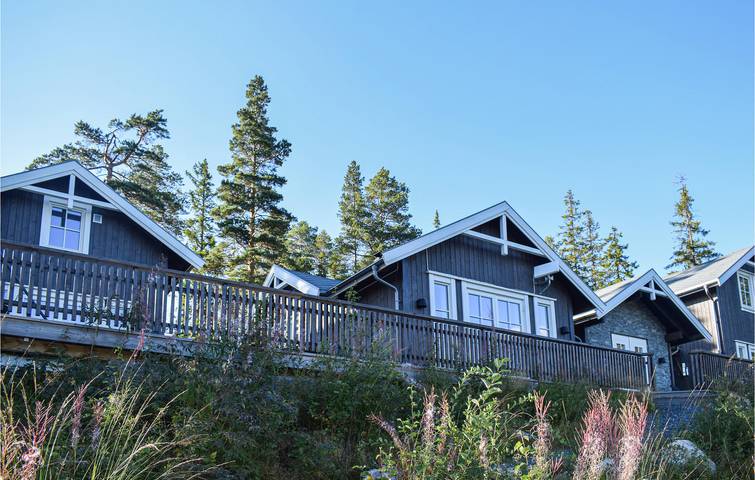 Feriehus for 14 personer, med terrasse og hage, dyr tillatt i Viken