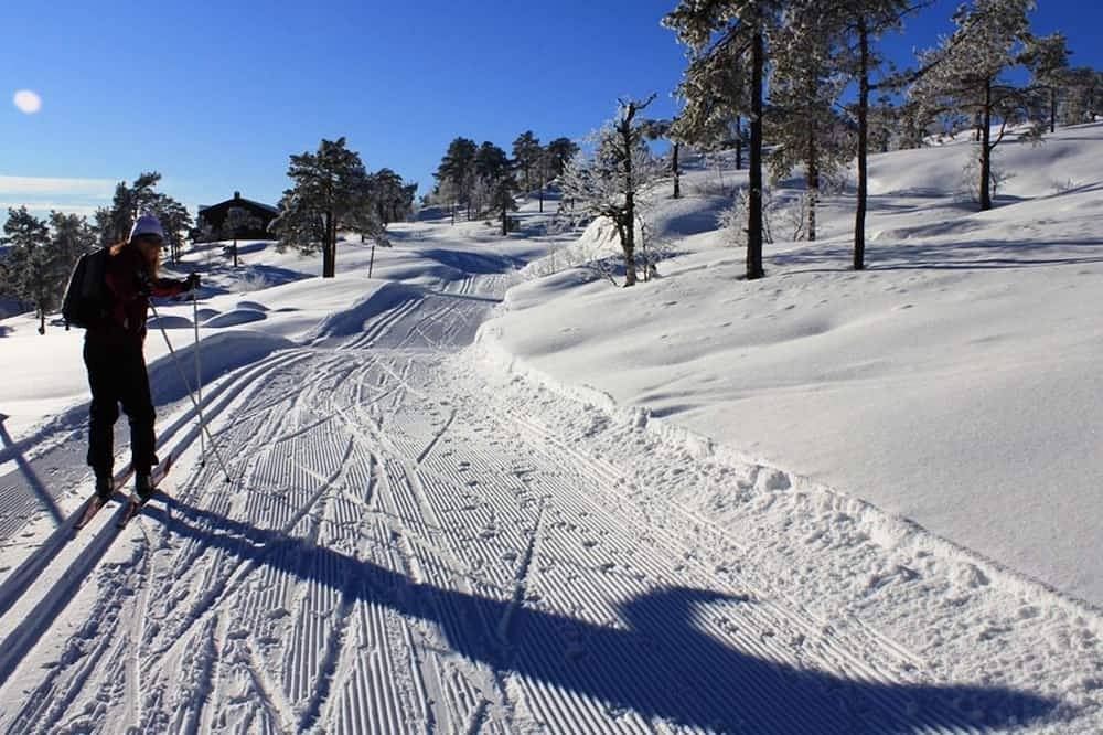 Family-Friendly Cabin Near Ski Slopes and Trails. Sleeps 12 in Nissedal