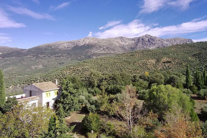 Villa for 16 people, with pets - 1