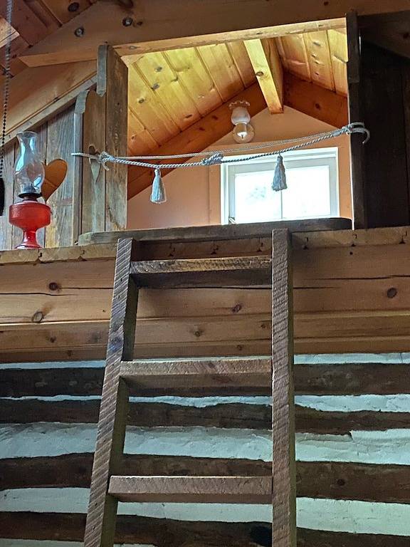 3 Sisters - Historic 1840 Pre-Civil War Log Cabin with sauna, hot tub & firepit! in Blue Ridge Parkway, Nelson County