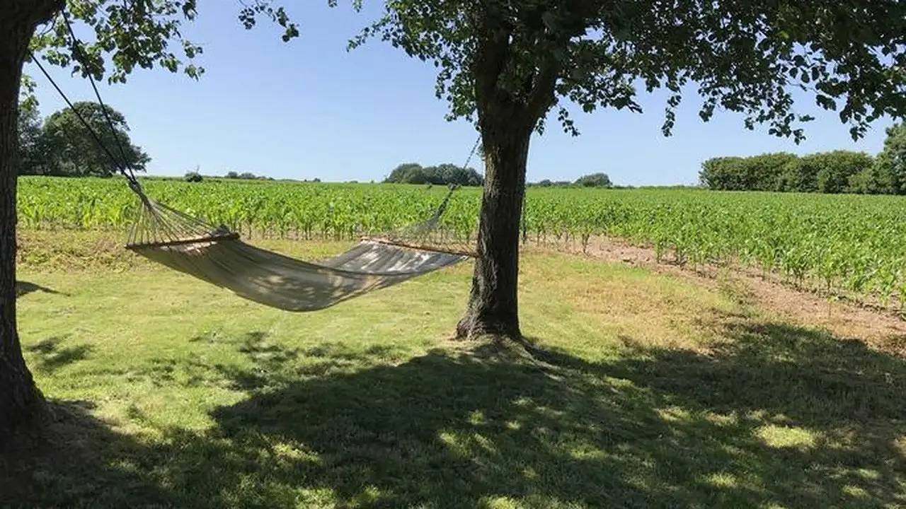 Ferienhaus für 4 Personen (70 m²) in Dollerup in Dollerup, Schleswig-Flensburg