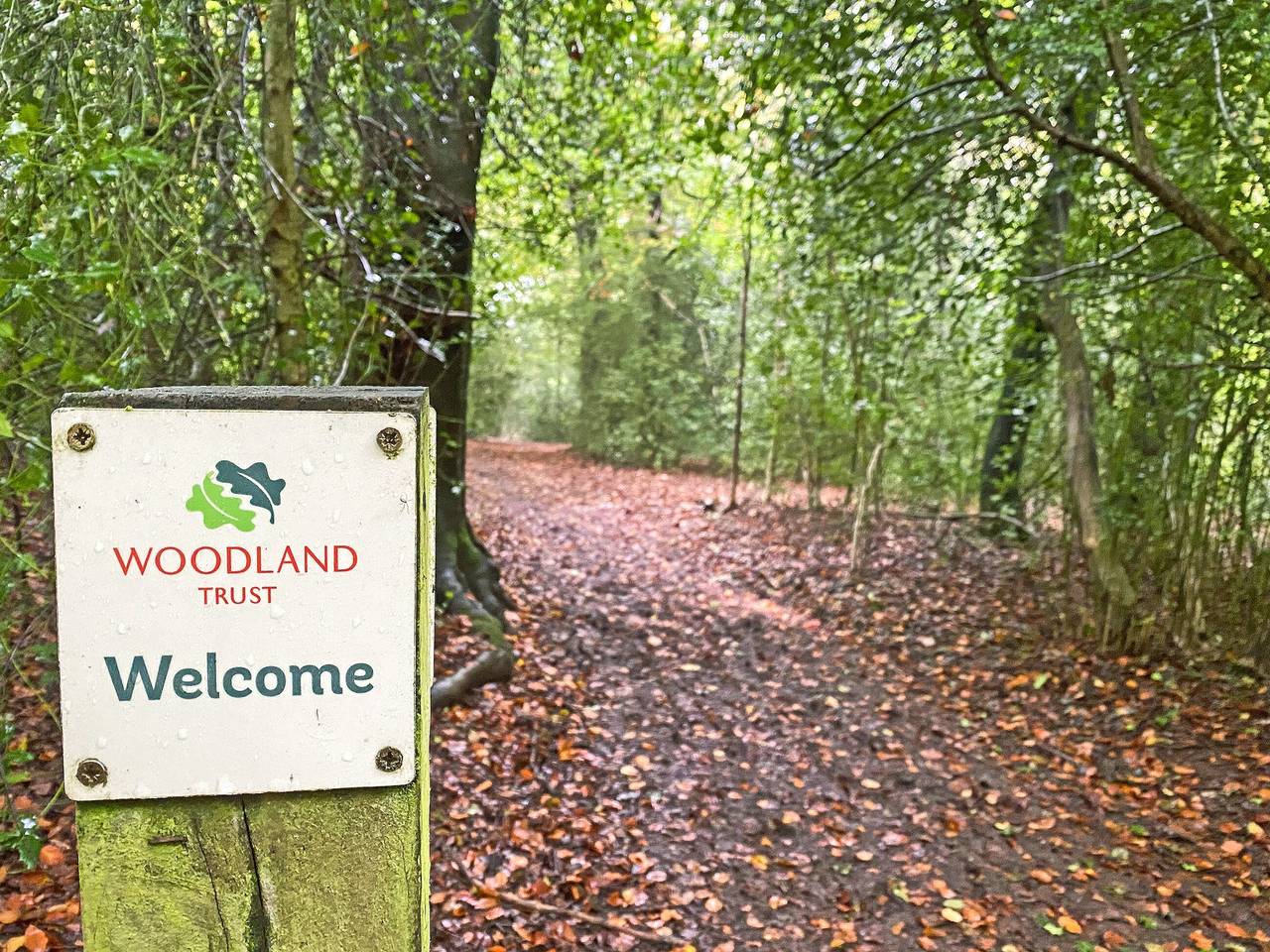 Woodland Lodge in Great Missenden, Chiltern Hills