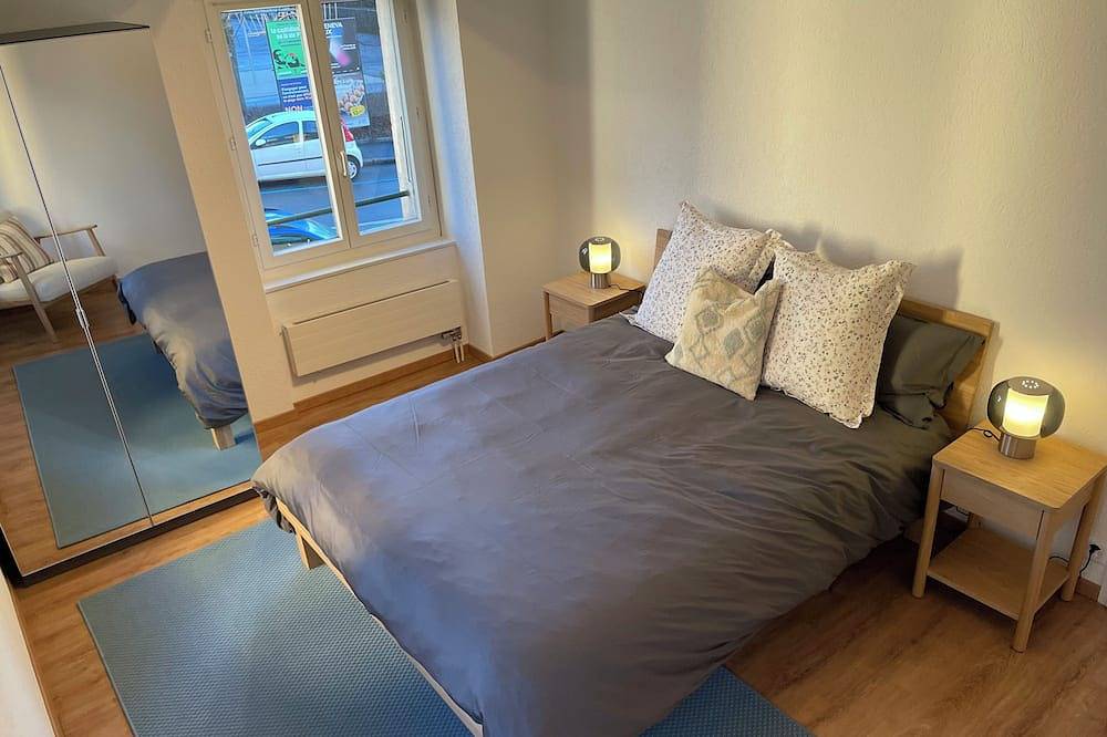 Entire apartment, Beautiful heritage 1 bedroom apartment in Genève, Lake Geneva