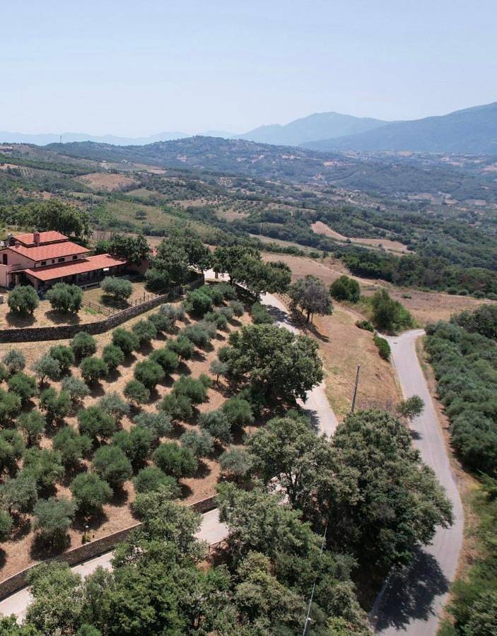 Double Room with Private Bathroom in Altavilla Silentina, Cilento