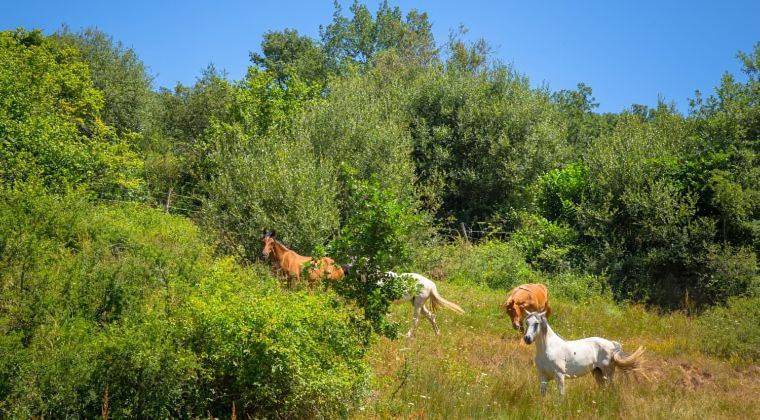 Casa de vacaciones para 10 personas, con vistas y terraza en Montaña Palentina - 2