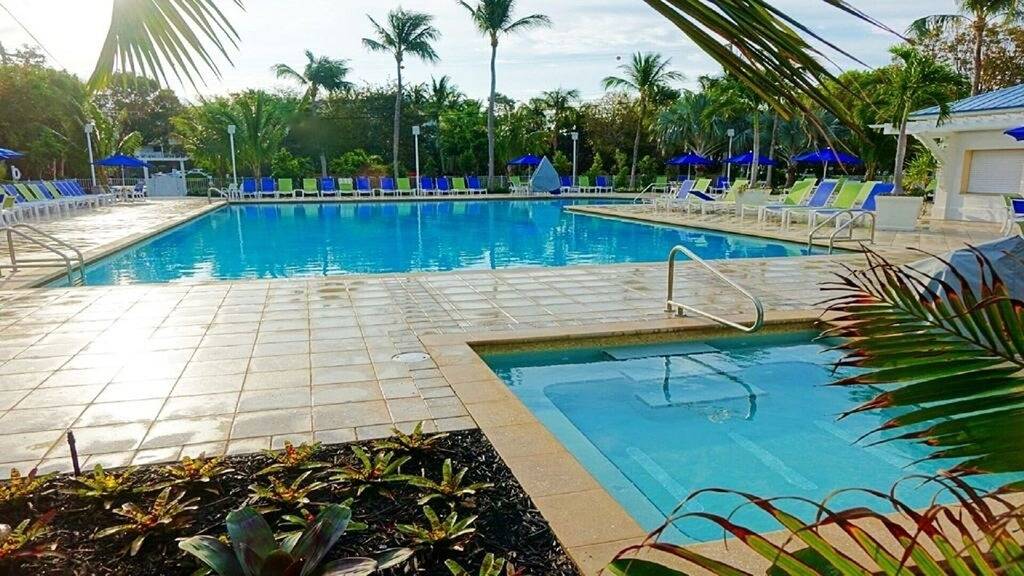 Ganze Wohnung, Luxuriöse Küstenlinienwohnung + Pool & Strand + Nähe Zu Tauchen / Schnorchelboote! in Tavernier, Monroe County