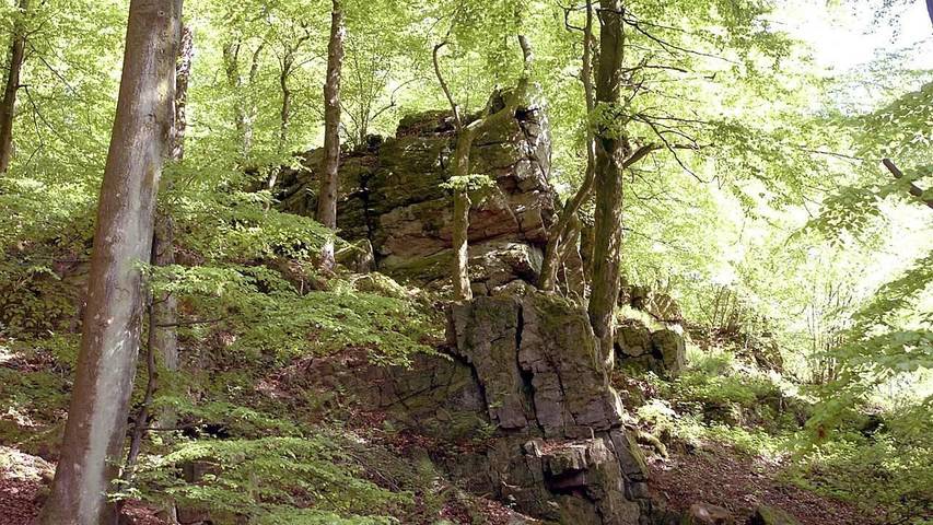 Ferienwohnung für 4 Personen, mit Terrasse im Saarland - 3