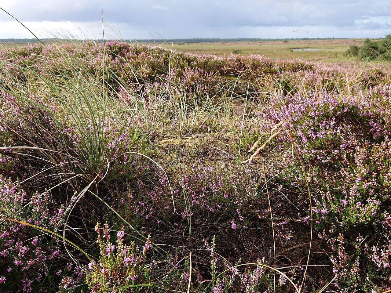 Renoveret sommerhus i Hejlsminde in Vejers Strand, Varde Kommune