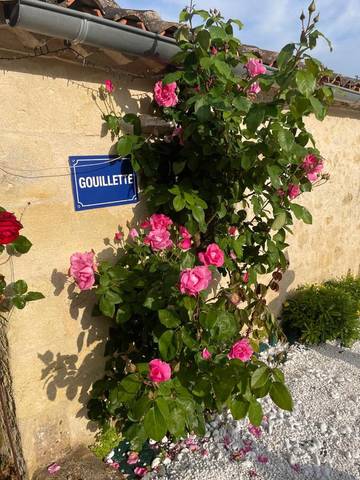 Gîte pour 4 personnes, avec vue ainsi que jardin et piscine à Saint-Pey-de-Castets