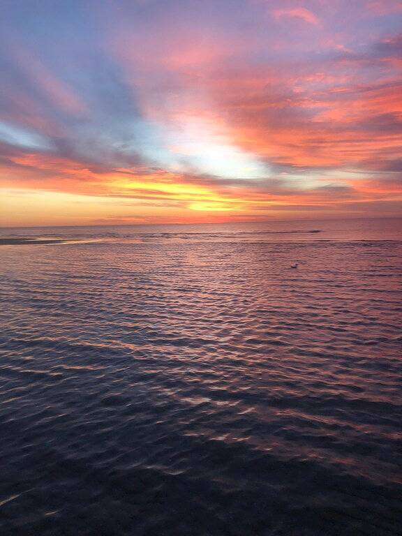 Ganze Wohnung, Charmantes Studio am Strand mit kontinentalem Frühstück / Haustiere willkommen ... in Melbourne, Kingston City