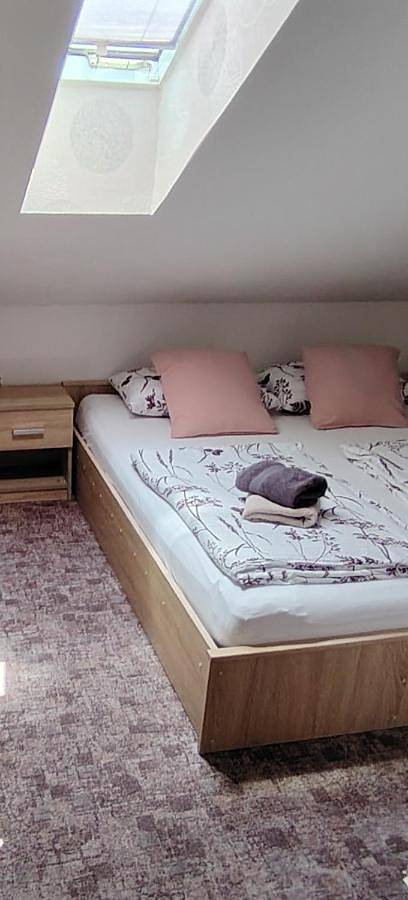 Chambre d’hôte pour 2 personnes, avec terrasse à Ljubljana - 3