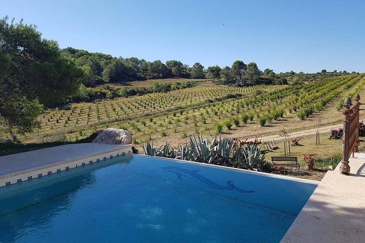 Holiday home for 8 people, with garden and terrace - 1