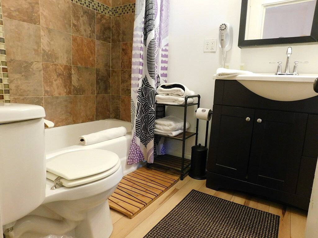 Close To Downtown- The Peacock Retreat- Dogs Stay Free in Blue Ridge Parkway, Asheville