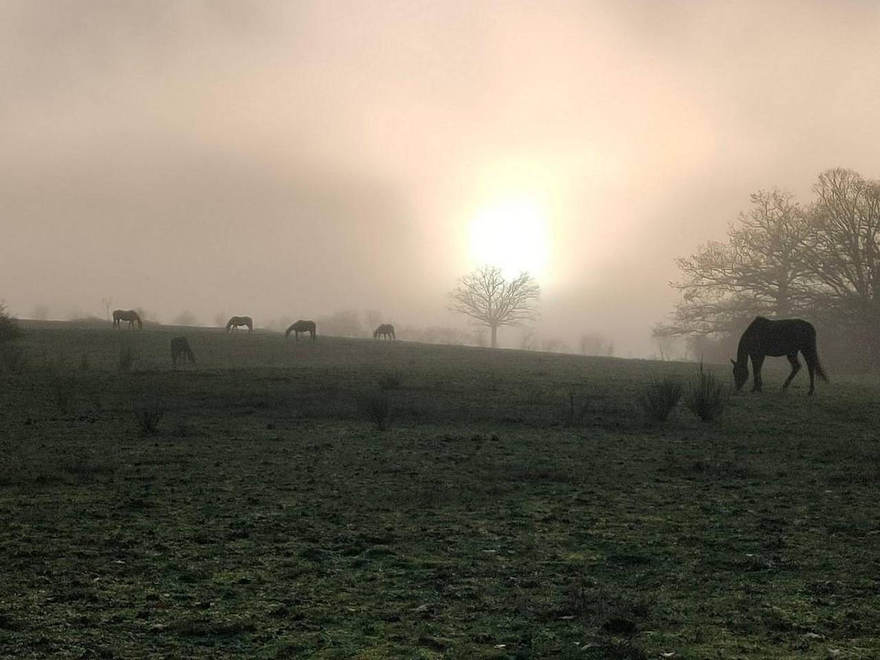 Séjour Nature et Charme, Animaux Bienvenus, Parking et Wifi Inclus in Saint-Bonnet-de-Four, Région de Montluçon