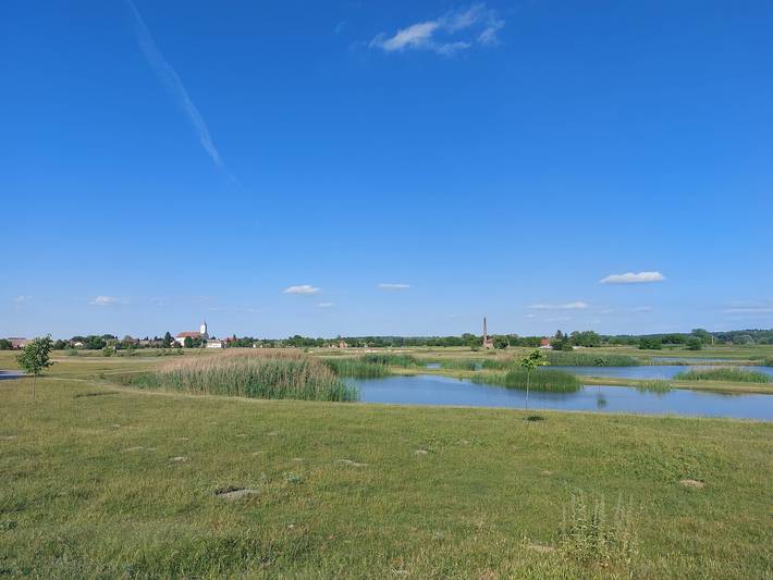 House Mikin Dol in Draž, Osijek-Baranja