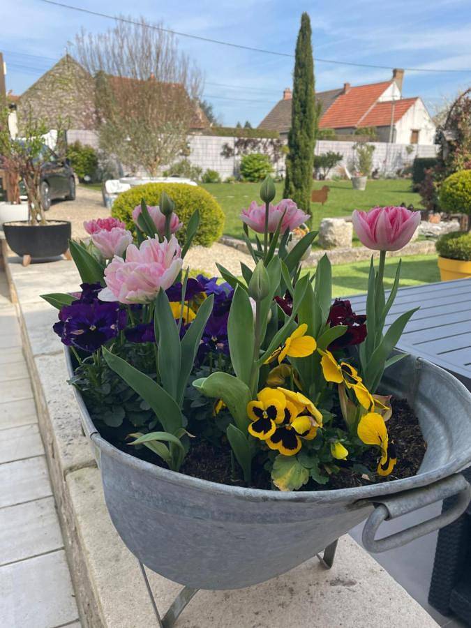 Location de vacances pour 2 personnes, avec vue ainsi que jardin et terrasse à Cléry-Saint-André - 3