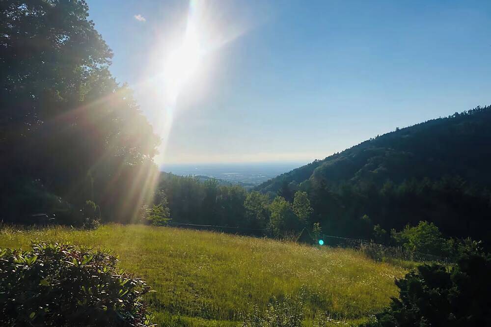 Apartamento inteiro, Spacious apartment in a unique location by the forest with fantastic views. in Buhlertal, Central Black Forest