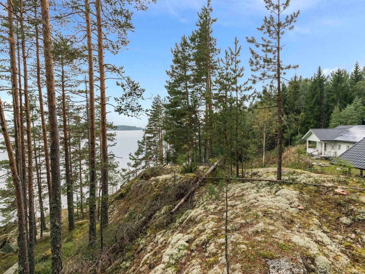 Koivurinne in Savonlinna, Southern Savonia