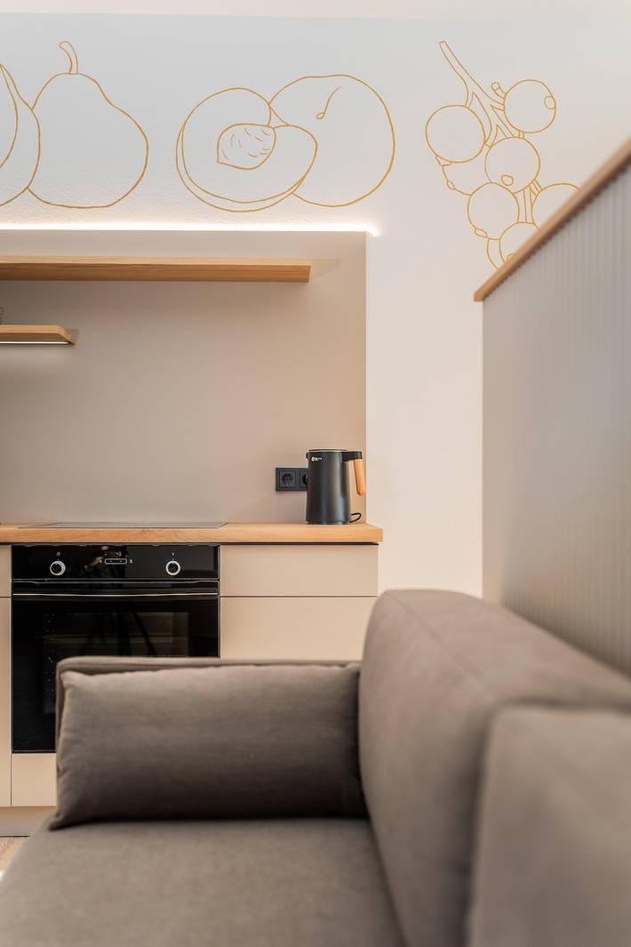 Ganze Ferienwohnung, Appartement/Fewo, Dusche, Wc, Terrasse in Bad Waltersdorf, Steirerland