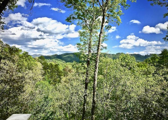 Gîte pour 4 personnes, avec jacuzzi et balcon dans Almond (Caroline du Nord) - 3