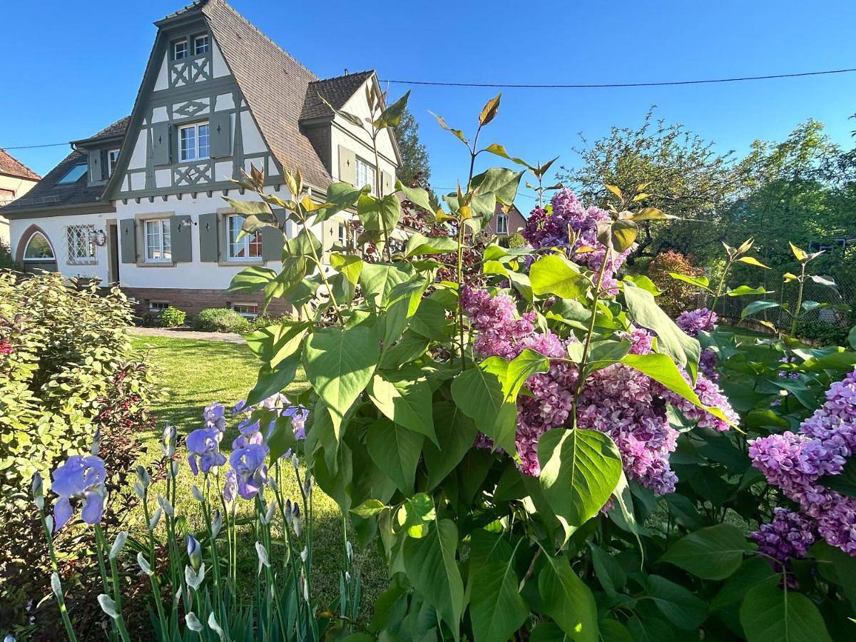 Appartement entier, Two-Bedroom Apartment in Barr, Région de Sélestat-Erstein