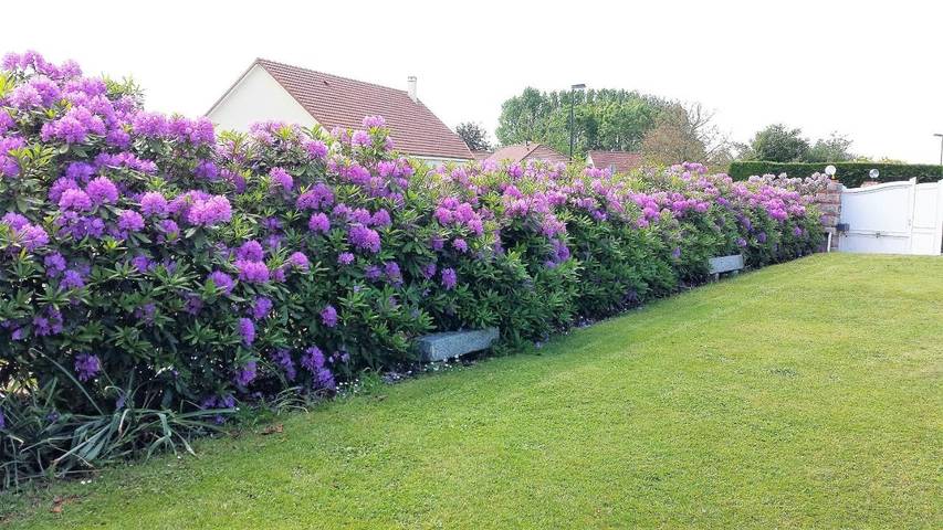Gîte pour 4 personnes, avec jardin à Tourville-sur-Arques - 4