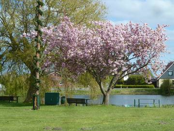 Ferienhaus für 4 Personen, mit Garten und Terrasse, mit Haustier an der Wurster Nordseeküste