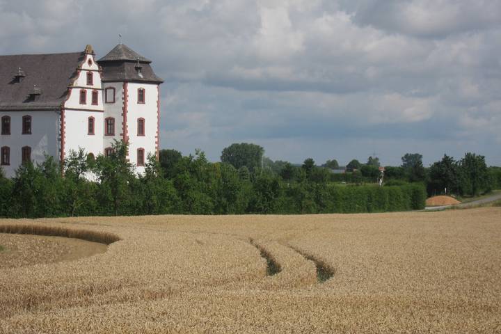 Ferienhaus für 4 Personen, mit Garten im Taubertal - 4