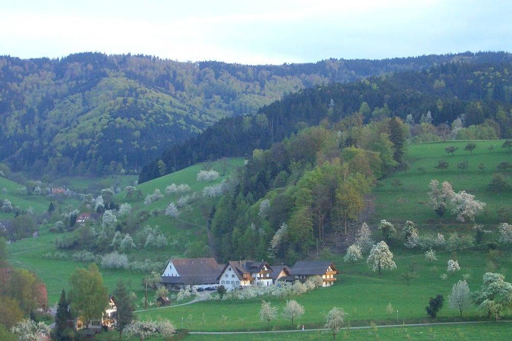 Ganze Wohnung, Ferienwohnung mit 40qm mit einem Schlafzimmer und Balkon für max. 2 Personen in Glottertal, Südschwarzwald