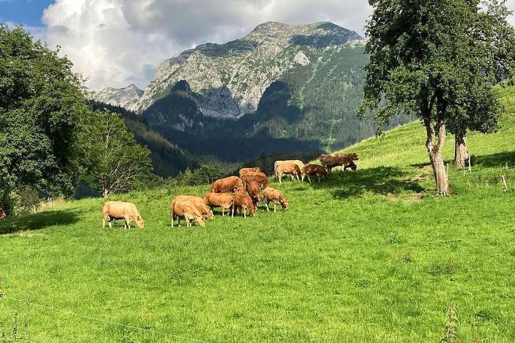 Bauernhof für 6 Personen, mit Garten