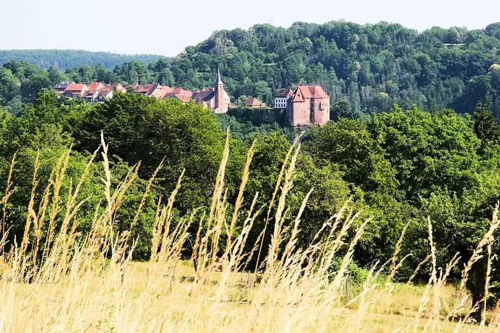 Gîte für 4 Personen, mit Haustier im Elsass - 4