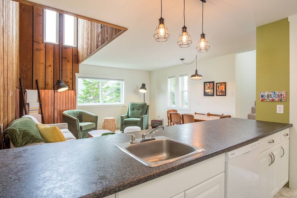 Winter Wren Mount Washignton Village in Mount Washington (BC)