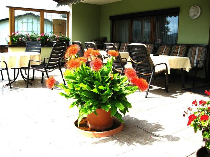 Maison d’hôte pour 3 personnes, avec vue et jardin, adapté aux familles à Zwiesel