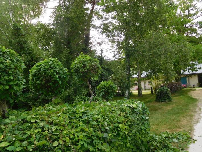 Bed & Breakfast 'Chambre 2' in Allouis in Allouis, Vierzon Region