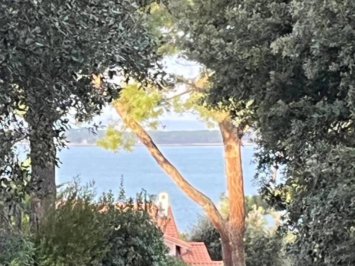 Maison d’hôte pour 2 personnes, avec vue ainsi que jardin et vue sur le lac, animaux acceptés à La Teste-de-Buch - 2