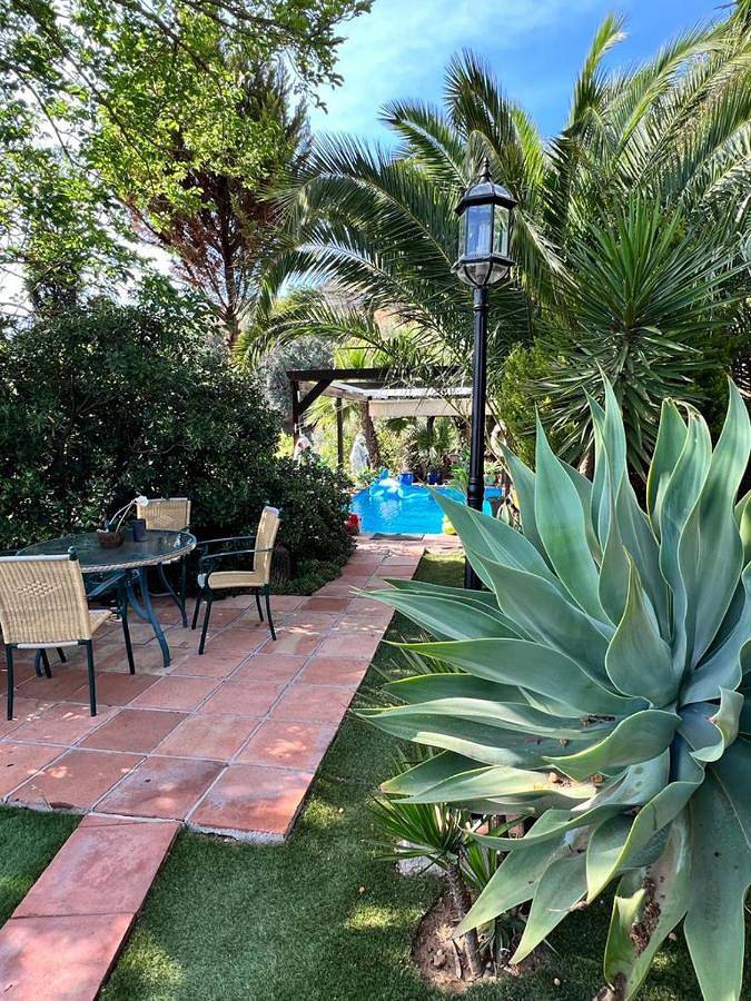 Gîte pour 2 personnes, avec sauna ainsi que piscine et jardin, animaux acceptés à Mijas - 3