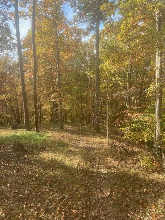 Sits on 8 private Acres, hiking trails at this secluded chalet! Wi-Fi, Hot Tub in Daniel Boone National Forest