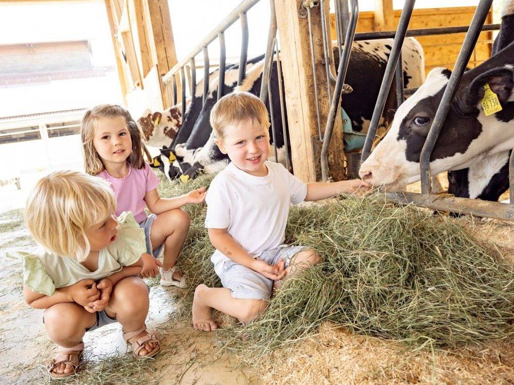 Erlebnishof Eble - Ost-Allgäu in Obergünzburg, Bayerisch Schwaben