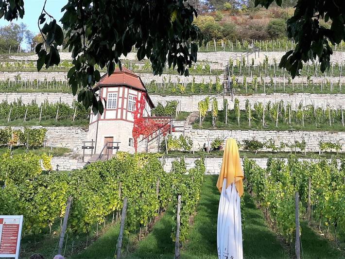 Ferienwohnung für 4 Personen, mit Garten und Balkon, kinderfreundlich in Naumburg - 4